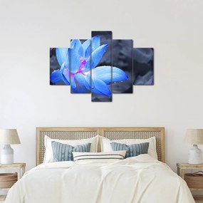 Obraz kvetu v detaile (150x105 cm)