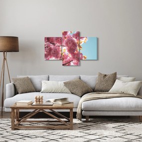 Obraz - Čerešňový kvet (90x60 cm)