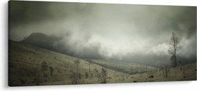 Obraz krajiny pred búrku (120x50 cm)