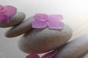 Obraz balans kameňov a ružové orientálne kvety - 120x80
