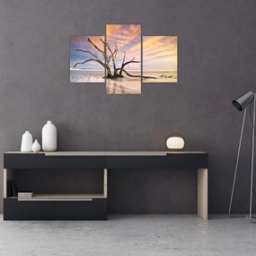 Obraz stromu v oceáne (90x60 cm)