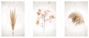 Gario Sada plagátov Dry nature - 3 dielna Farba rámu: Rustikálna, Veľkosť: 99 x 45 cm