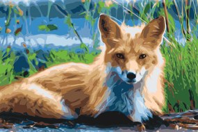 Gario Maľovanie podľa čísel Líška Rozmery: 60 x 40 cm, Rámovanie: Iba zrolované plátno