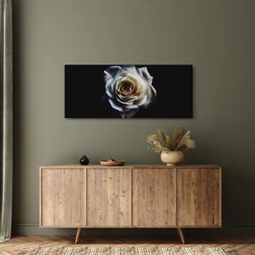 Obraz bielej ruže (120x50 cm)