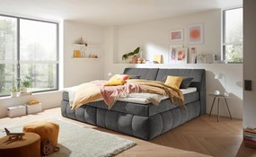 XXXLutz BOXSPRINGOVÁ POSTEĽ, 240/200 cm, sivá MID.YOU - Online Only spálne - 002220054805