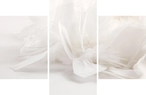 Obraz - Perie (90x60 cm)