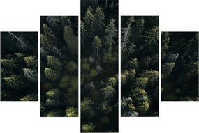 Obraz - Les (150x105 cm)