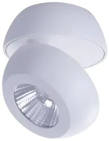 LED bodové svetlo Ojos 1 biele