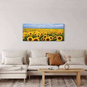 Obraz slnečnicového poľa (120x50 cm)