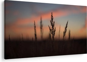 Obraz - Silueta rastliny (90x60 cm)