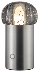 LED prenosné stmievateľné vonkajšie svietidlo na USB ø 10 cm Iris – Blomus