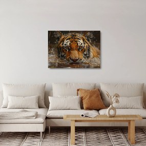 Sklenený obraz - Portrét tigra vo vode (70x50 cm)