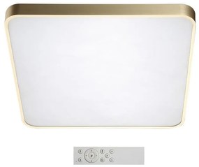 Azzardo AZ2760 - LED Stmievateľné stropné svietidlo QUADRO 1xLED/60W/230V+ DO
