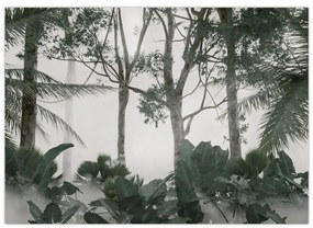 Sklenený obraz - Jungle v rannej hmle (70x50 cm)