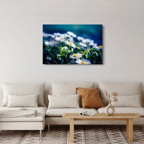 Obraz sedmokrások (90x60 cm)