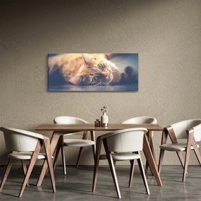 Obraz mačky na podlahe (120x50 cm)
