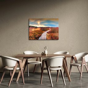 Obraz - Jesenná cesta krajinou (70x50 cm)
