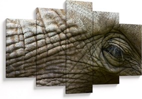 Obraz - Detailné fotografie starého slonieho oka (150x105 cm)
