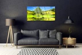 Skleneny obraz Lúka strom príroda 140x70 cm