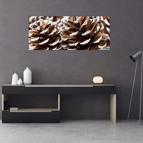 Obraz - Šišky (120x50 cm)