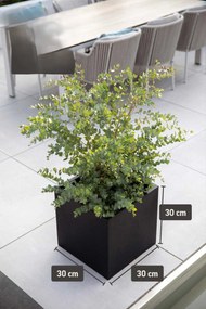 Kvetináč BLOCK, sklolaminát, 30x30x30 cm, antracit