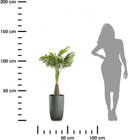 Květináč STRIPPED ECO III 25 cm šedo-zelený