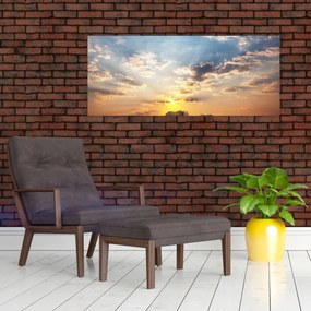 Obraz - Slony putujúce savanou (120x50 cm)