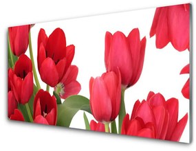 Obraz plexi Tulipány kvety rastlina 100x50 cm