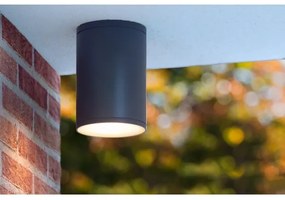 Lucide 27870/01/30 - Kúpeľňové stropné svietidlo TUBIX 1xE27/24W/230V