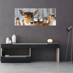 Obraz - Jeleňča (120x50 cm)