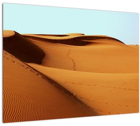 Obraz - Stopy v púšti (70x50 cm)