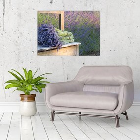 Obraz - Levanduľové zväzky (70x50 cm)
