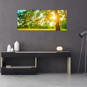 Obraz - Slnečný les (120x50 cm)