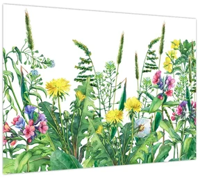 Sklenený obraz - Maľované lúčne kvety (70x50 cm)