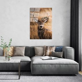 Sklenený obraz 70x100 cm Deer - Wallity