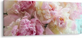 Obraz - Pivonky (120x50 cm)