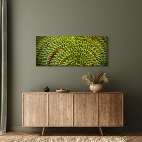 Obraz - Papraď (120x50 cm)