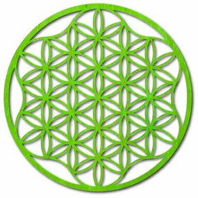 Energetický obraz mandala na stenu z preglejky - rozmer od 50 do 120 cm  I SENTOP PR0337