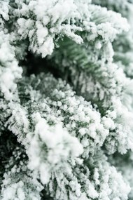 Limpol Horský smrek zasnežený 1,70 m