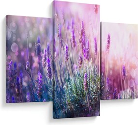 Obraz - Levanduľa vo trblietania slnka (90x60 cm)