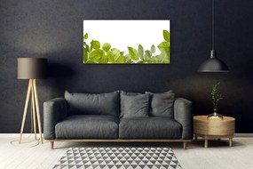 Obraz plexi Listy príroda rastlina 100x50 cm