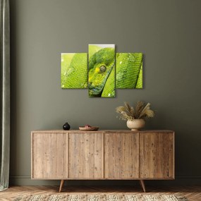 Obraz hada (90x60 cm)
