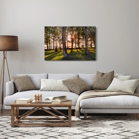Obraz stromov pri jazere (90x60 cm)