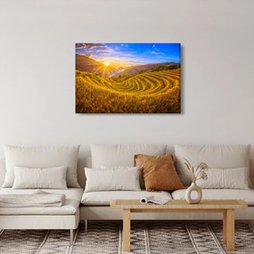 Obraz - Ryžové terasy vo Vietname (90x60 cm)
