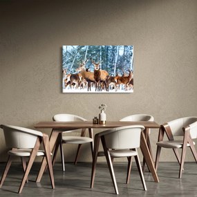 Obraz - Stádo jeleňov (90x60 cm)