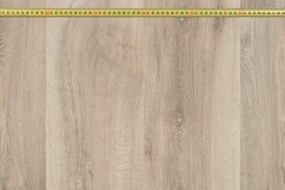 Beaulieu International Group, PVC podlaha - lino Livitex 2601, na mieru, šíře 3m,4m, hnedá, filc, chodba / predsieň