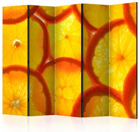 Artgeist Paraván - Orange slices [Room Dividers]