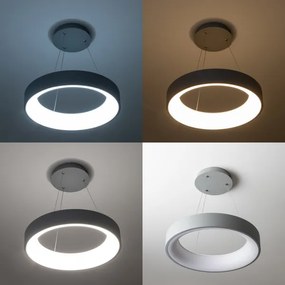 Brilagi - LED Stmievateľný luster na lanku LED/40W/230V 3000-6500K šedá + DO