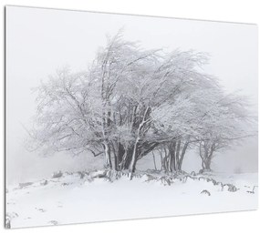 Sklenený obraz - Biela zima (70x50 cm)