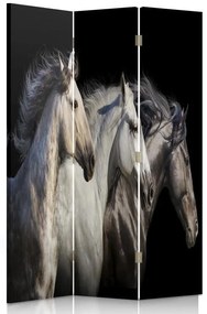 Ozdobný paraván Cval koní - 110x170 cm, trojdielny, obojstranný paraván 360°